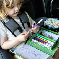 Tiger Tribe Dinosaur Colouring Set