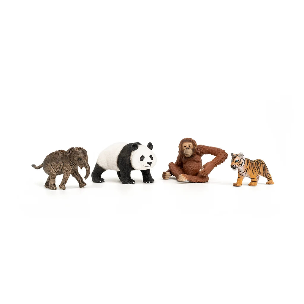 Asia Starter Set - Schleich Wild Life 42736