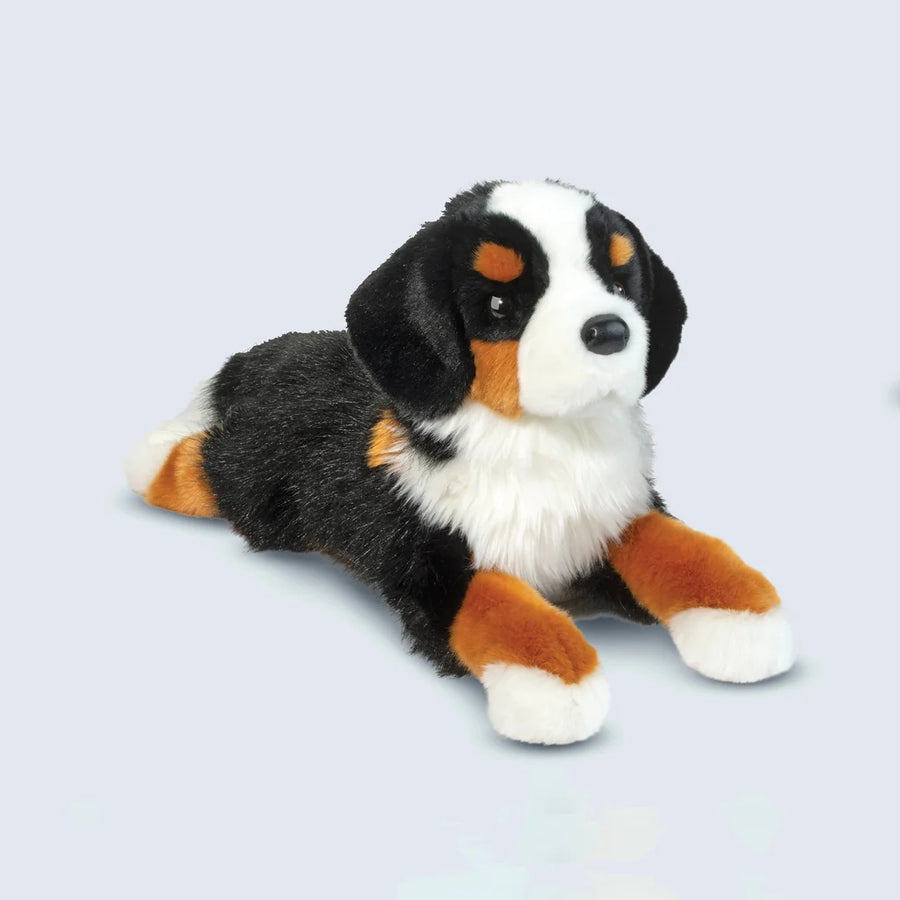 Douglas Trooper DLux Bernese Mountain