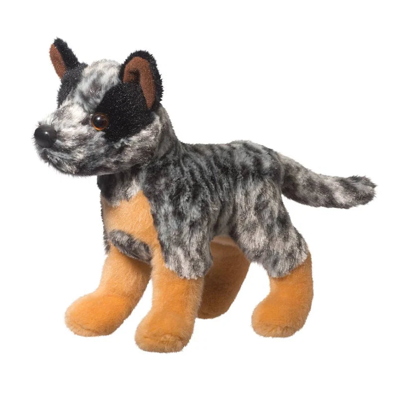 Douglas Clanger Australian Cattle Dog