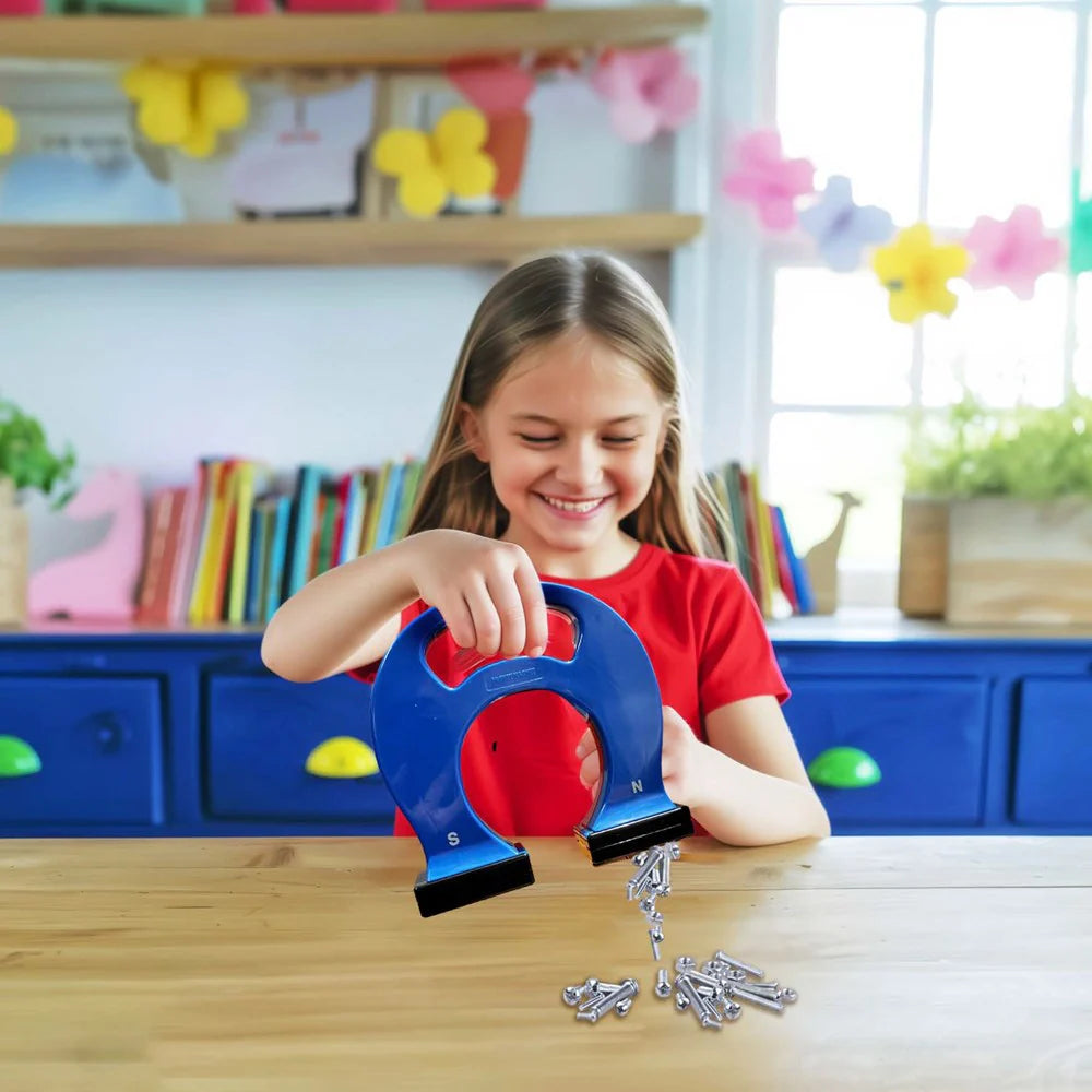 Kidz Labs Giant Magnet Assorted