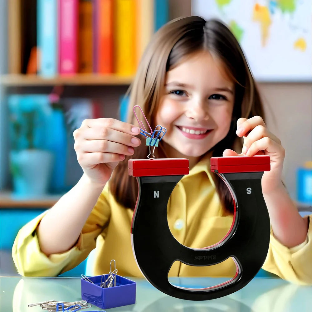 Kidz Labs Giant Magnet Assorted