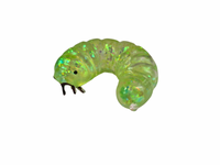 Sugar Caterpillar
