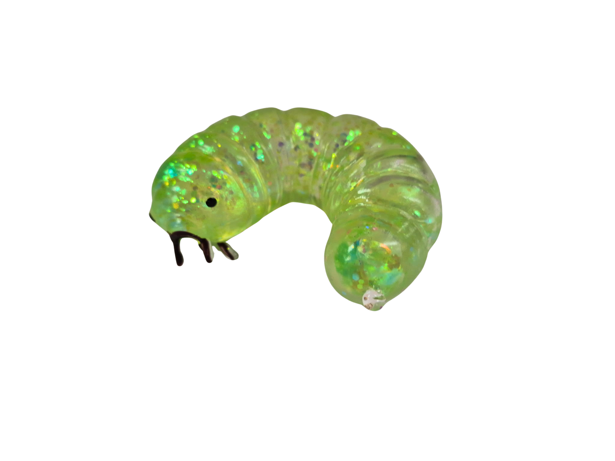 Sugar Caterpillar