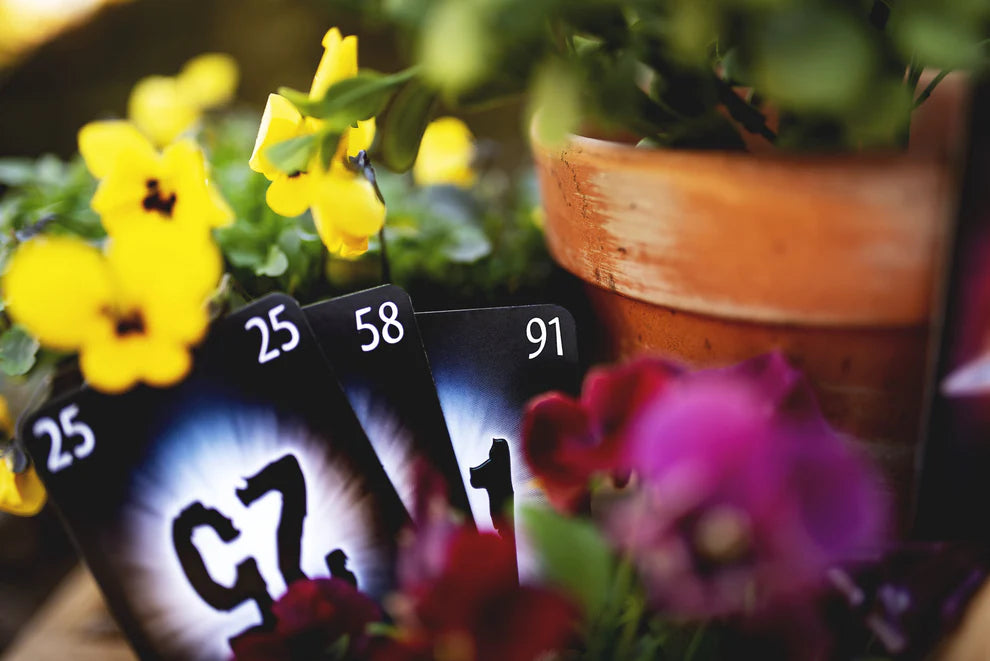 Pandasaurus The Mind