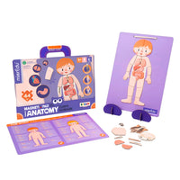 mierEdu Human Anatomy Magnetic Pad