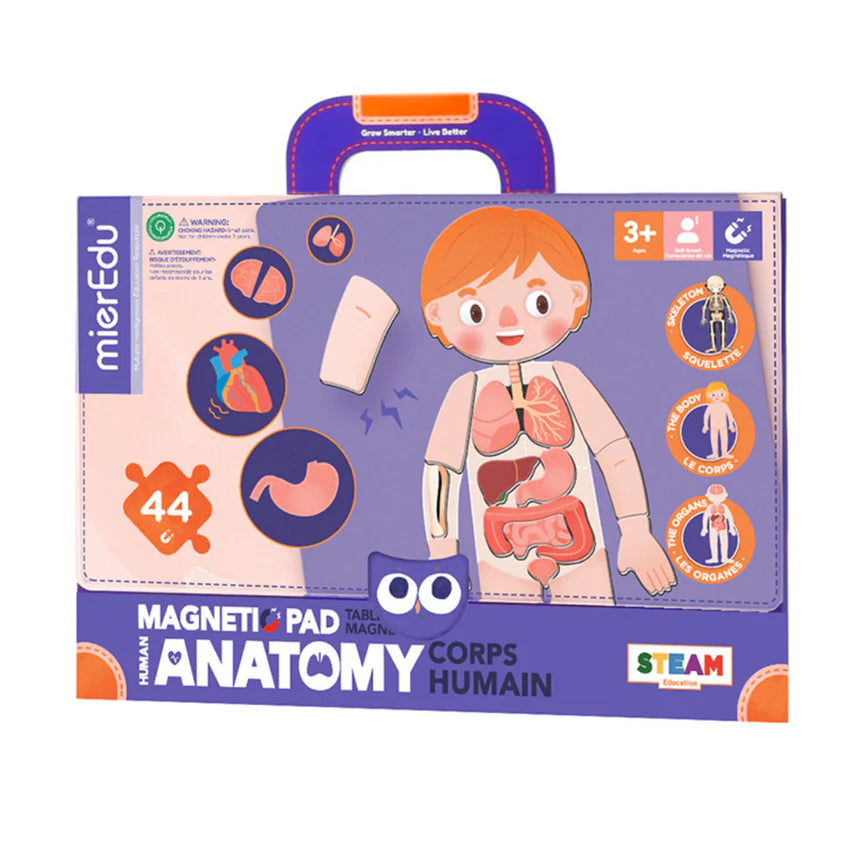 mierEdu Human Anatomy Magnetic Pad