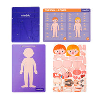 mierEdu Human Anatomy Magnetic Pad