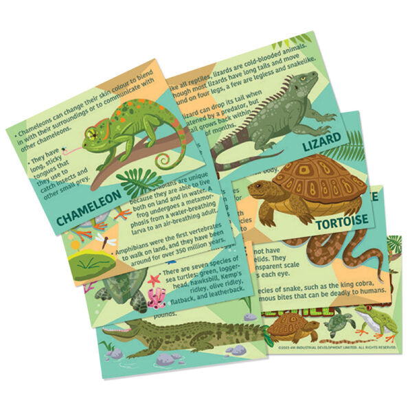 4M Mould & Paint Reptile Amphibians