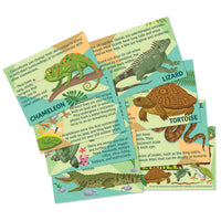 4M Mould & Paint Reptile Amphibians