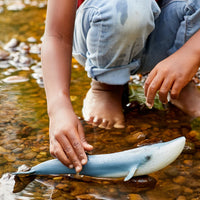 Blue Whale -  Schleich Wild Life 14806