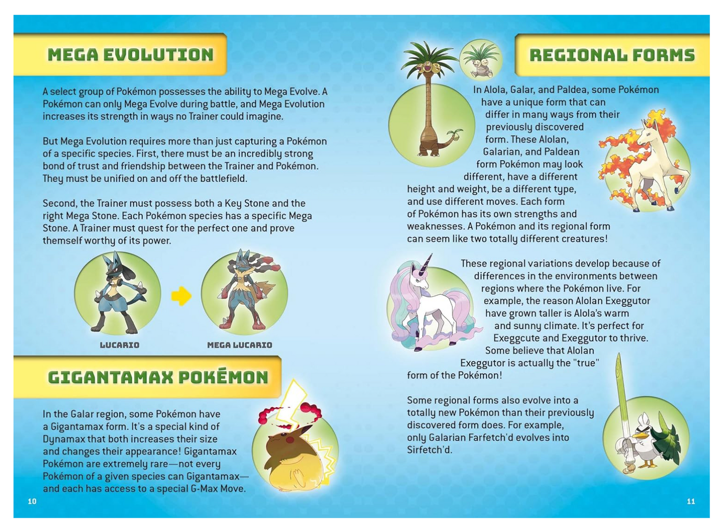 Pokemon Super Duper Extra Deluxe Essentials Handbook
