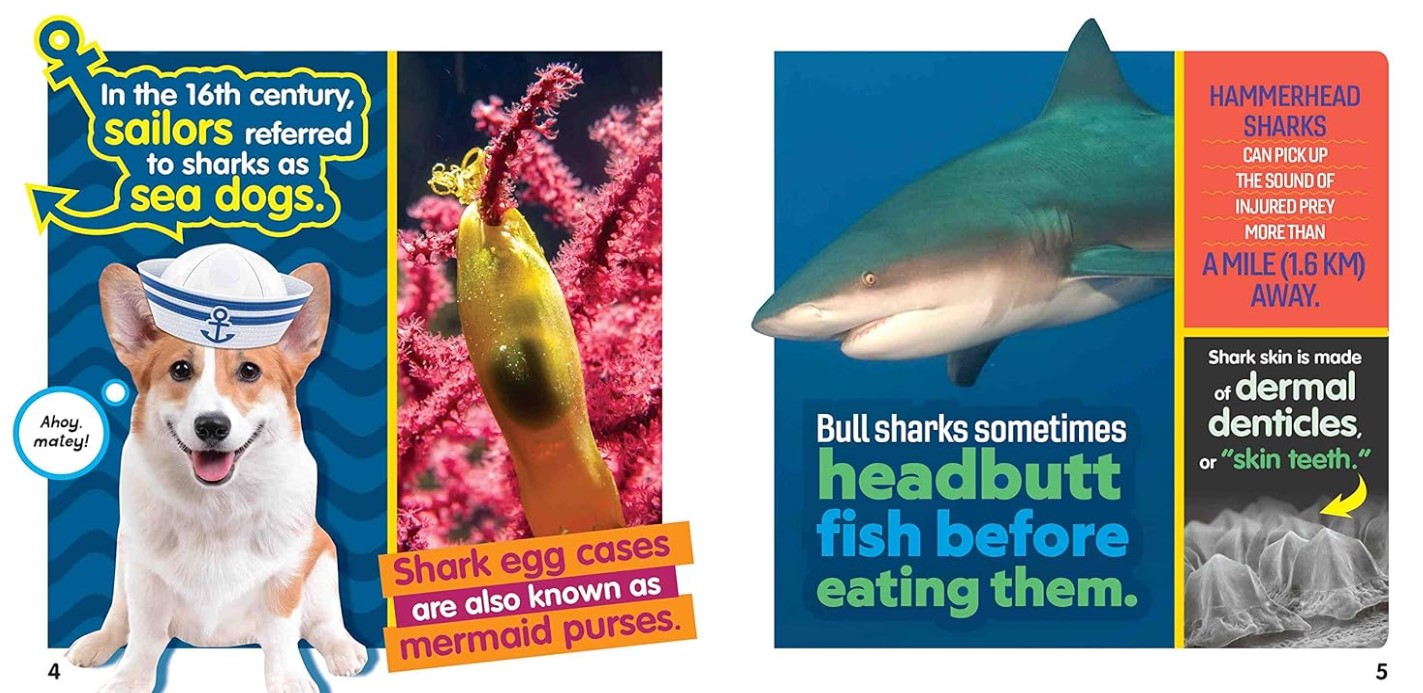 National Geographic Kids  Weird But True! Sharks