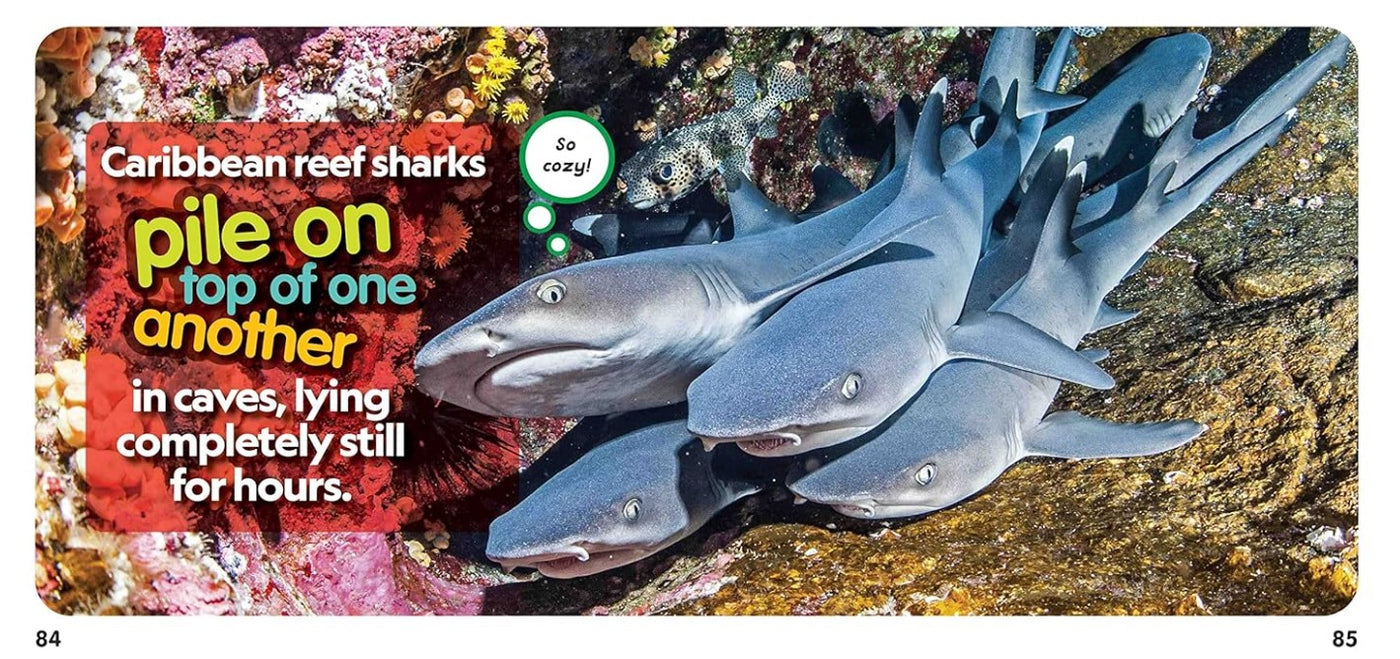 National Geographic Kids  Weird But True! Sharks