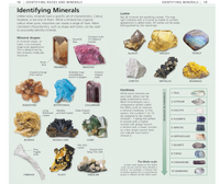 Dk Books What's That Rock? - Beginner Guide