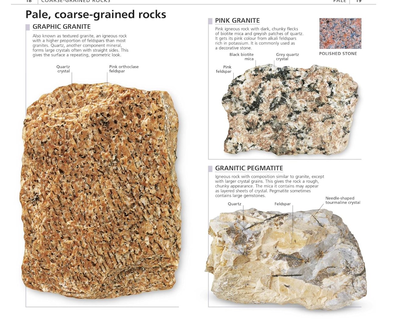 Dk Books What's That Rock? - Beginner Guide