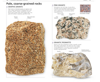 Dk Books What's That Rock? - Beginner Guide