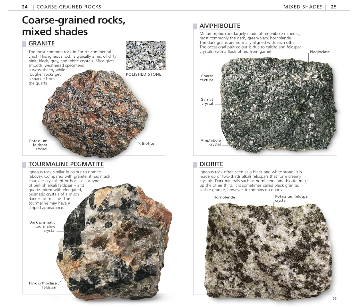 Dk Books What's That Rock? - Beginner Guide