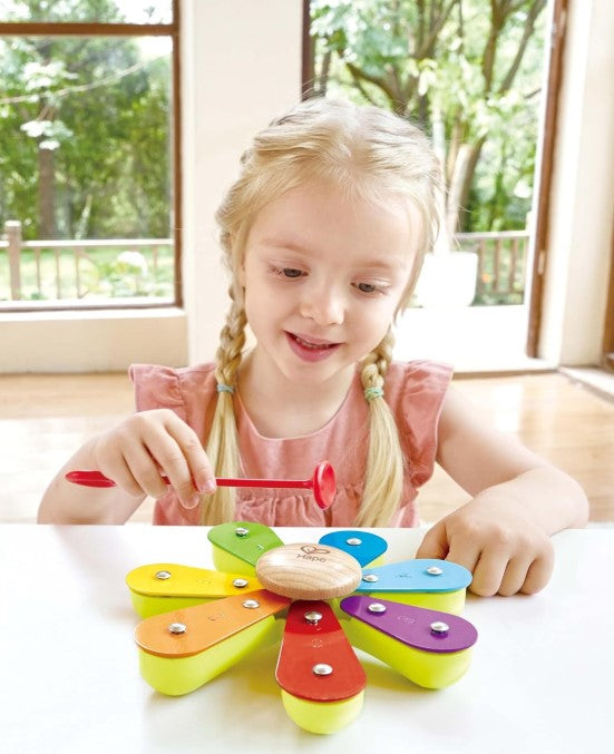 Hape Nature Band Rhythm Kit