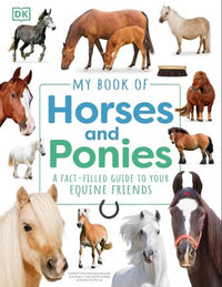 DK My Book of Horses & Ponies