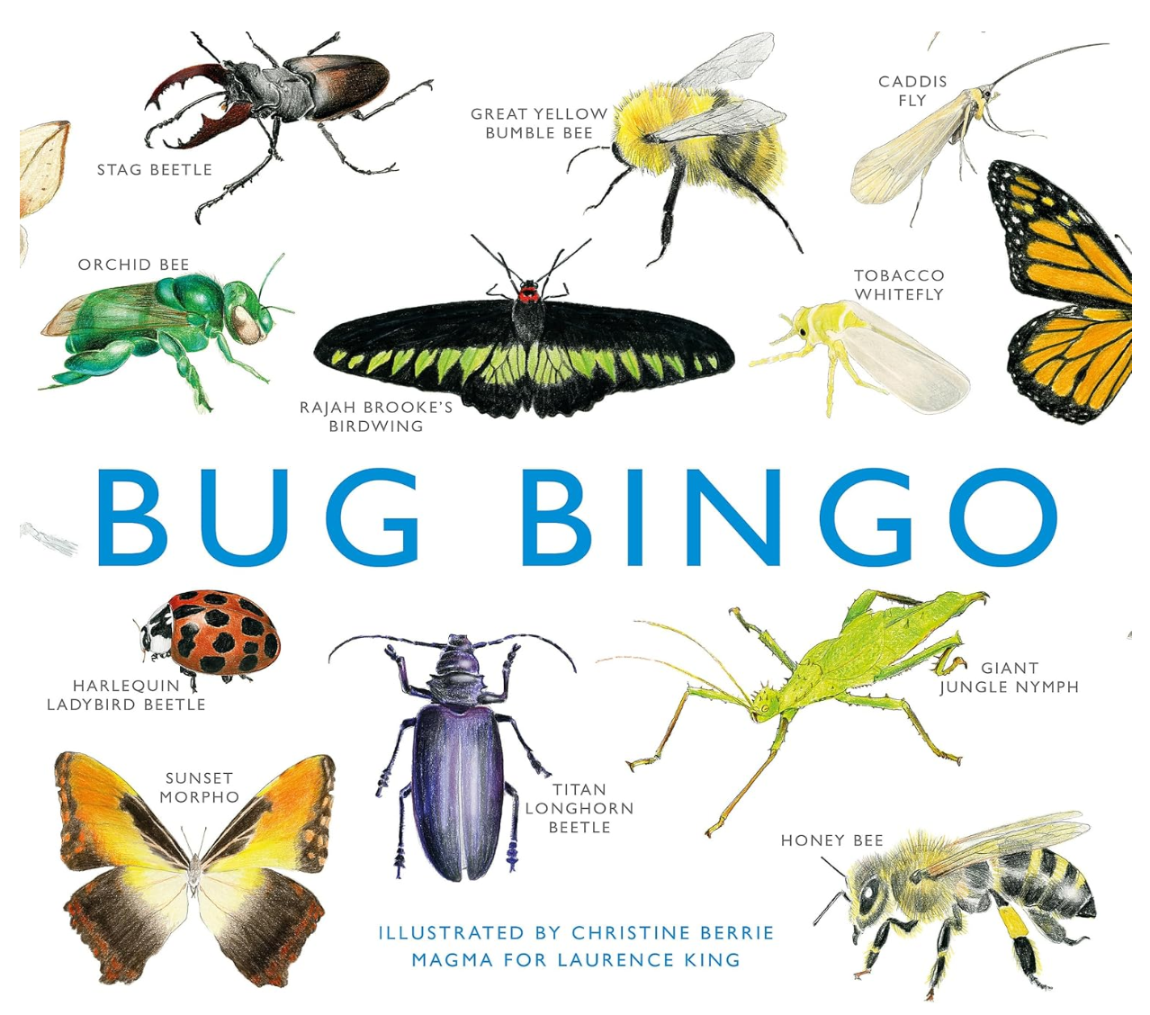 Bug Bingo