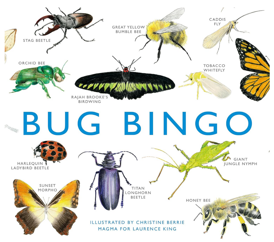 Bug Bingo