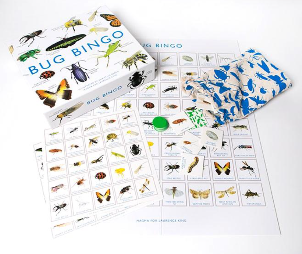 Bug Bingo