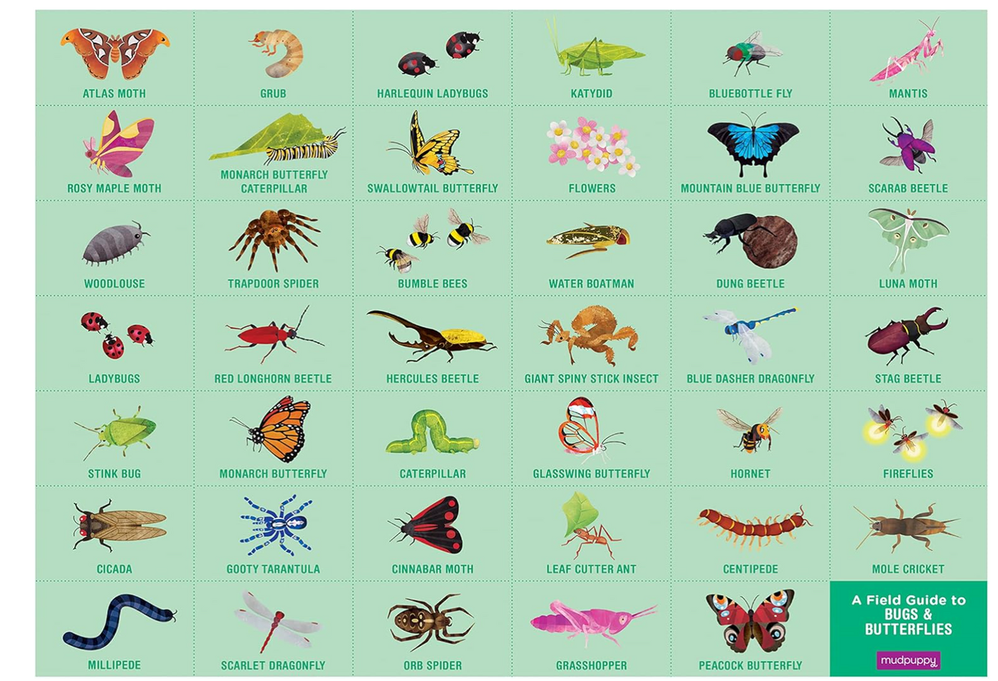 Mudpuppy Bugs & Butterflies Search & Find Puzzle