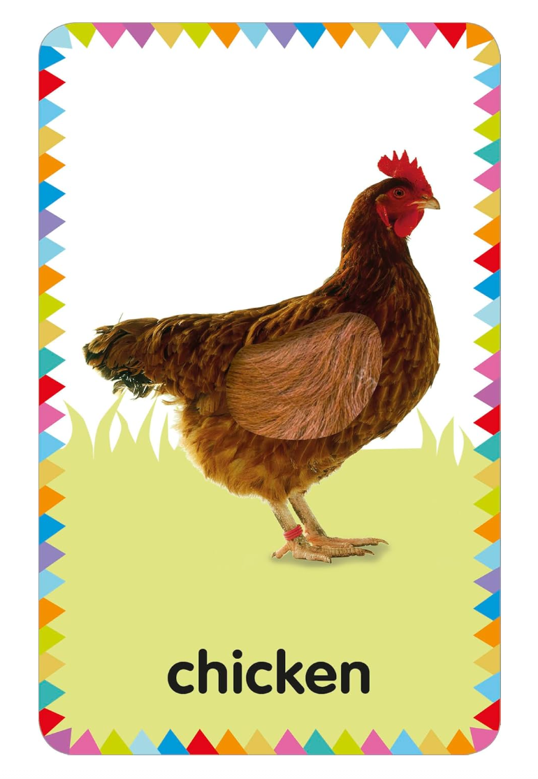 Dk Books Farm: My First Touch And Feel Picture Cards