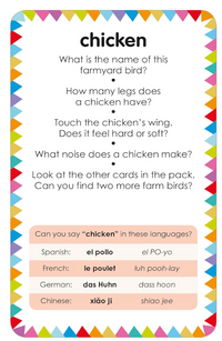 Dk Books Farm: My First Touch And Feel Picture Cards