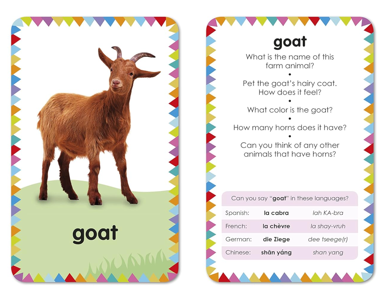 Dk Books Farm: My First Touch And Feel Picture Cards