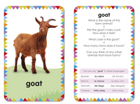 Dk Books Farm: My First Touch And Feel Picture Cards