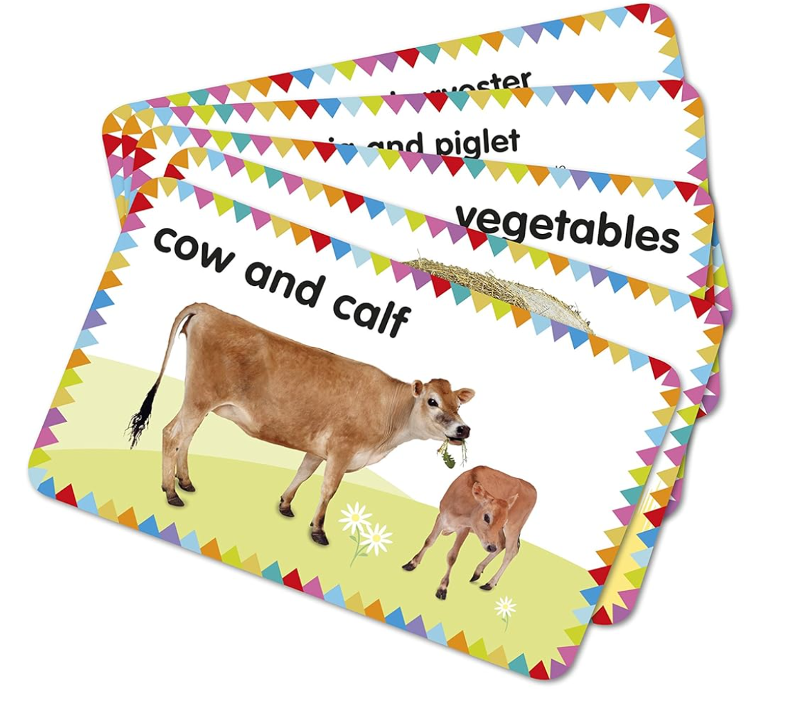 Dk Books Farm: My First Touch And Feel Picture Cards