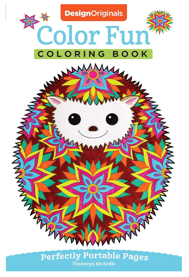 Color Fun Colouring Book