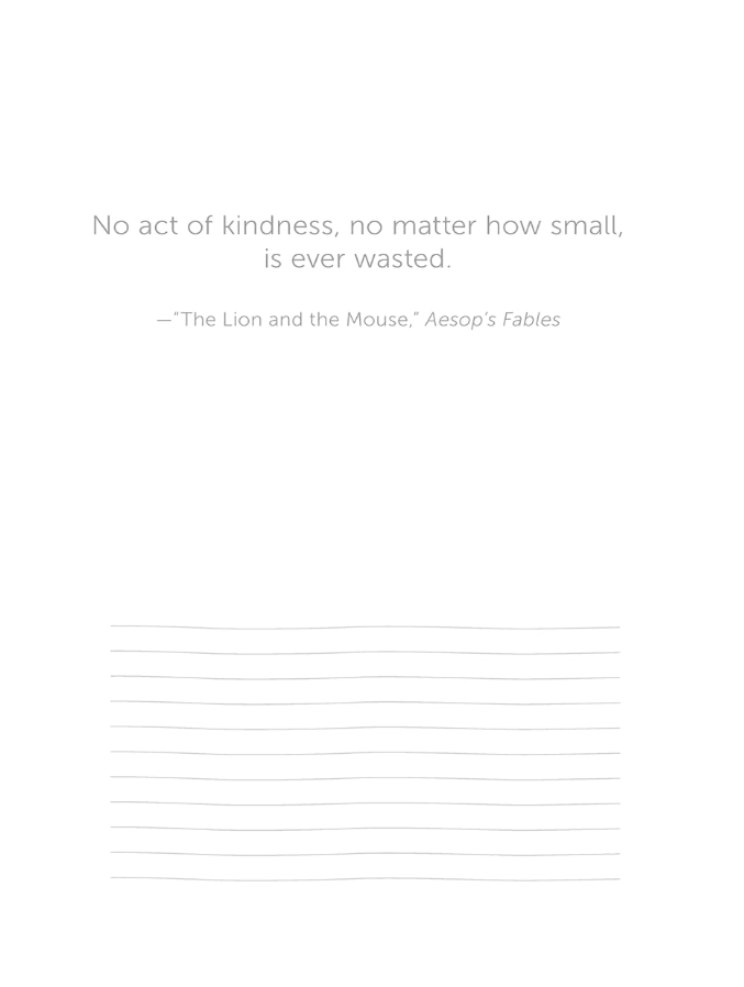 Color Animals Colouring Book