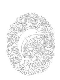 Color Animals Colouring Book