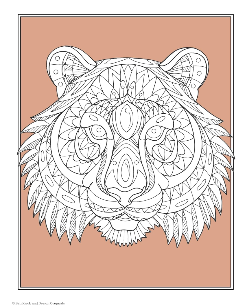 Color This! Birds & Animals Colouring Book