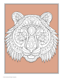 Color This! Birds & Animals Colouring Book