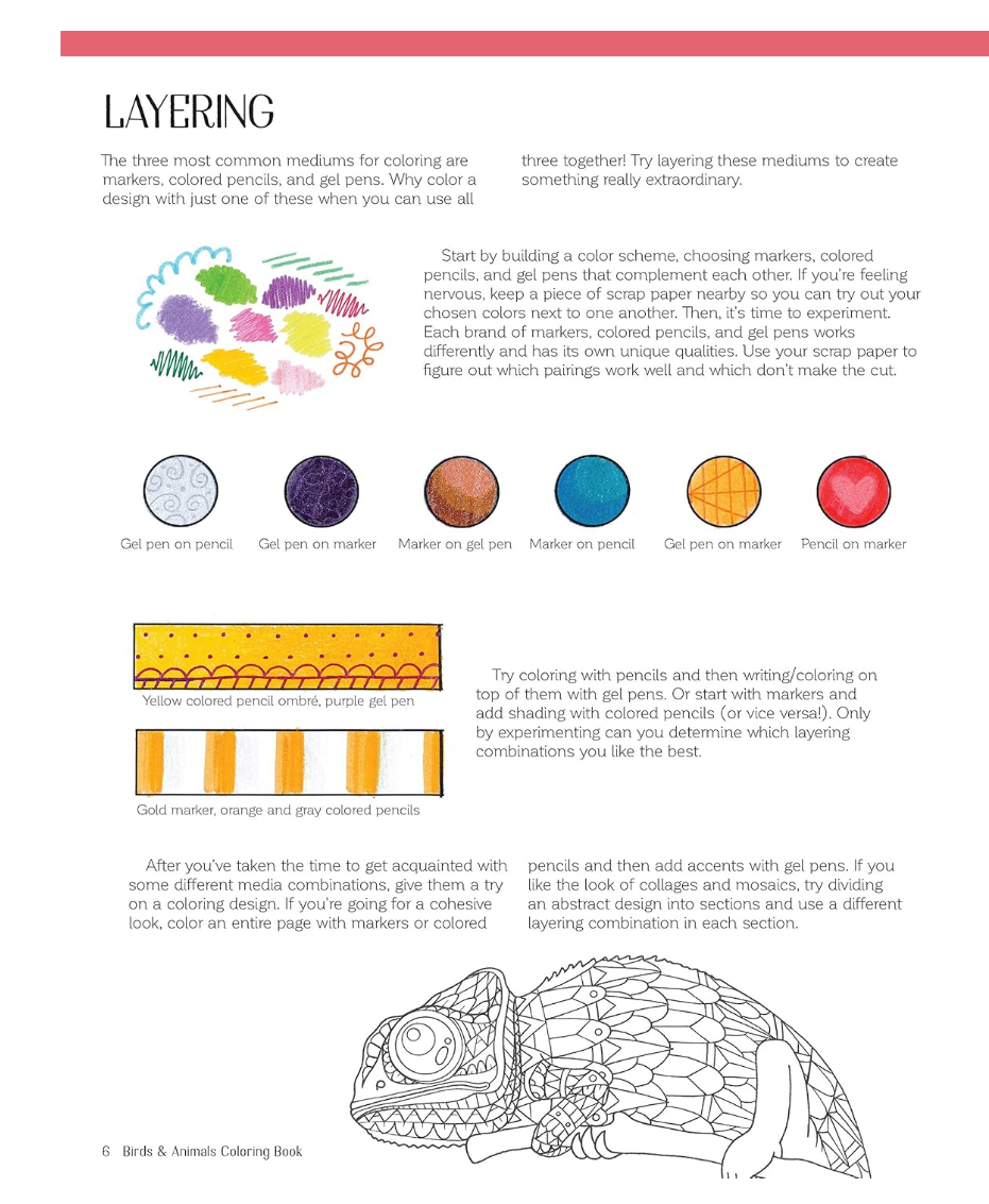 Color This! Birds & Animals Colouring Book