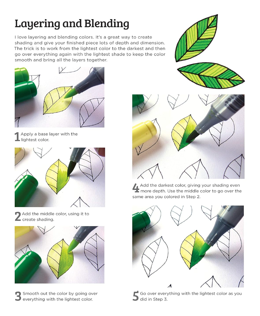 Hello Angel Jungle Safari Colouring Collection