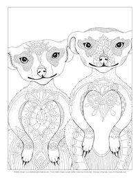 Hello Angel Jungle Safari Colouring Collection