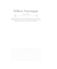 Birds At Home Colouring (Revised Edition)