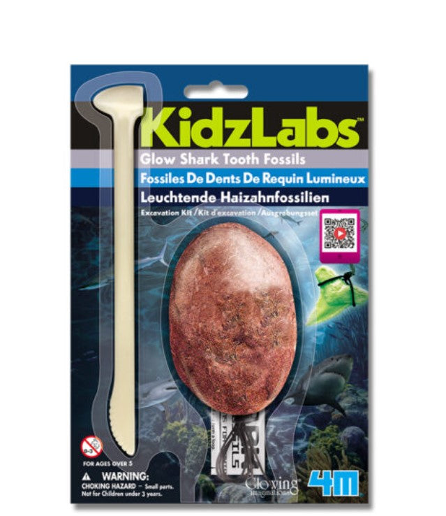 4M Glow Shark Tooth Fossil