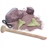 4M Glow Shark Tooth Fossil