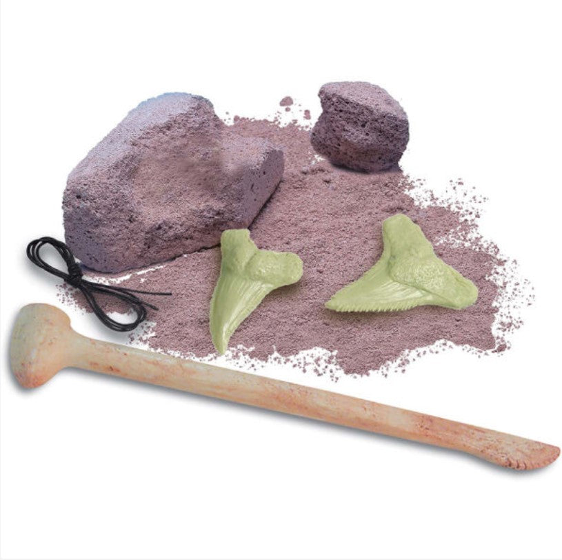 4M Glow Shark Tooth Fossil