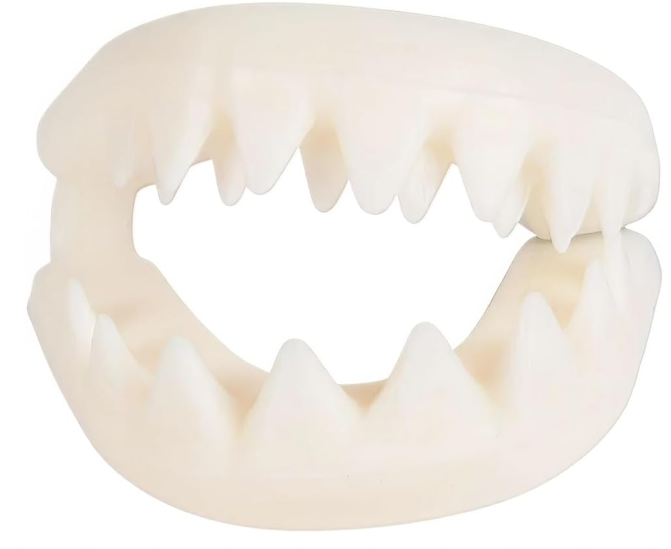 Shark Teeth
