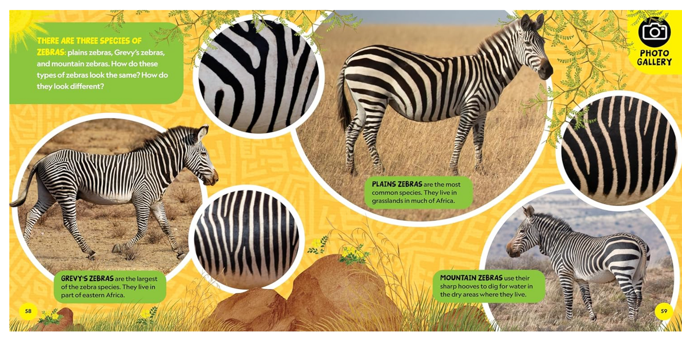 National Geographic Little Kids First Big Book of African Animals