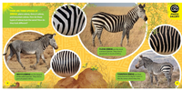 National Geographic Little Kids First Big Book of African Animals