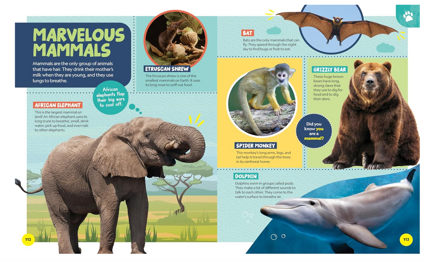 National Geographic Little Kids First Encyclopedia of Almost Everything