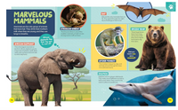 National Geographic Little Kids First Encyclopedia of Almost Everything